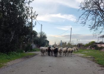 H φωτογραφία της ημέρας!