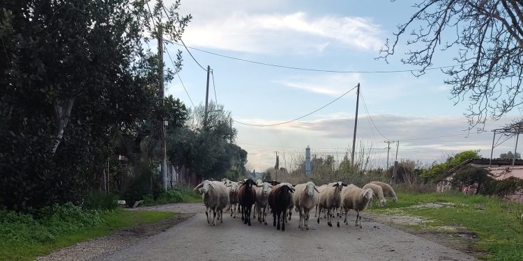 H φωτογραφία της ημέρας!