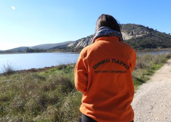 Κοτύχι – Στροφυλιά: Φοινικόπτερα, κορμοράνοι, φαλαρίδες, ερωδιοί, γλάροι, γλαρόνια και βουτηχτάρια! Απίθανες ΦΩΤΟΓΡΑΦΙΕΣ