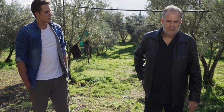 Η Γη της Ελιάς: Η απρόσμενη σύμπτωση που θα αλλάξει τις ισορροπίες