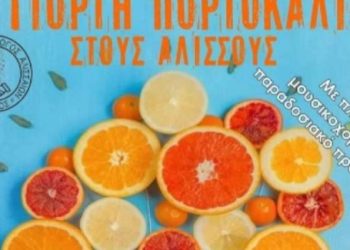 Γιορτή πορτοκαλιού από τον Σύλλογο Αλισσαίων “Πείρος”