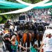 Βραζιλία: Νεκρός οπαδός της Παλμέιρας στα επεισόδια μετά τον τελικό του Παγκοσμίου Κυπέλλου Συλλόγων