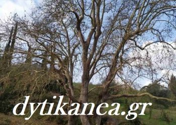 Άνω Αχαΐα: Πέτρινη επένδυση για το ιστορικό πηγάδι – ΦΩΤΟ
