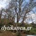 Άνω Αχαΐα: Πέτρινη επένδυση για το ιστορικό πηγάδι – ΦΩΤΟ