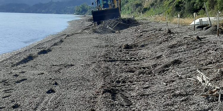 Δυτική Αχαΐα: Συνεχίζει ο τομέας Καθαριότητας τις εργασίες καθαρισμού στην ακτογραμμή – Κ. Παλαιολόγος: “Σε ετοιμότητα για ολόκληρη την παραλιακή ζώνη”
