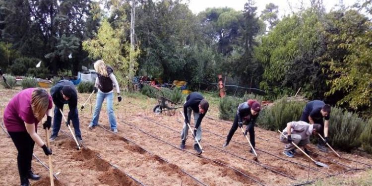 ΕΛΓΟ Δήμητρα: Ξεκινά πρόγραμμα κατάρτισης – Ποιους αφορά