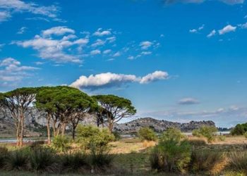 Αχαΐα: Κίνδυνος πυρκαγιάς σε δάση – Σε ποιες περιοχές απαγορεύεται η πρόσβαση