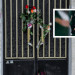 Υπόθεση Πισπιρίγκου-Πάτρα: Ξανά στο μικροσκόπιο ο θάνατος της σπιτονοικοκυράς