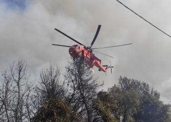 Πόρτες Δυτικής Αχαΐας: Στο πύρινο μέτωπο και οι εθελοντές πυροσβέστες του ΣΕΔΙΠ – Φωτογραφίες που “κόβουν” την ανάσα!
