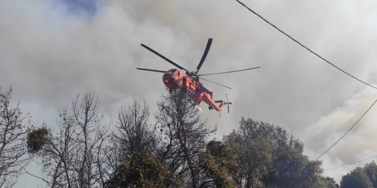 Πόρτες Δυτικής Αχαΐας: Στο πύρινο μέτωπο και οι εθελοντές πυροσβέστες του ΣΕΔΙΠ – Φωτογραφίες που “κόβουν” την ανάσα!