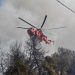 Πόρτες Δυτικής Αχαΐας: Στο πύρινο μέτωπο και οι εθελοντές πυροσβέστες του ΣΕΔΙΠ – Φωτογραφίες που “κόβουν” την ανάσα!