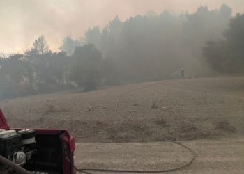 Στη μεγάλη φωτιά της Καλλιθέας οι εθελοντές του ΣΕΔΙΠ