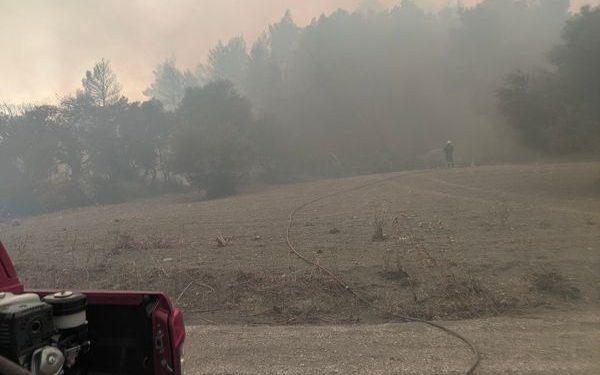 Στη μεγάλη φωτιά της Καλλιθέας οι εθελοντές του ΣΕΔΙΠ