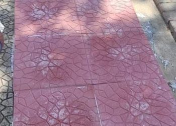 Δυτική Αχαΐα: Καθαρισμοί, εργασίες και αποκατάσταση βλαβών