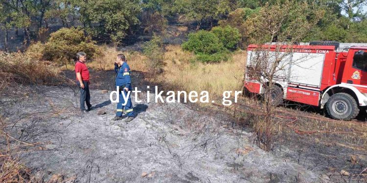 Υπό πλήρη έλεγχο η φωτιά στις Βελιτσές Αχαΐας – ΒΙΝΤΕΟ και ΦΩΤΟ