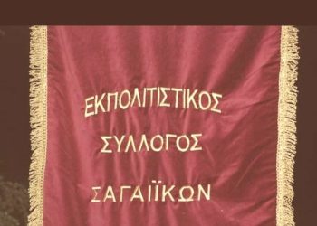 Σύλλογος Σαγείκων: Αυτό είναι το το νέο ΔΣ – Πρόεδρος η Ευγενία Σαρτζή