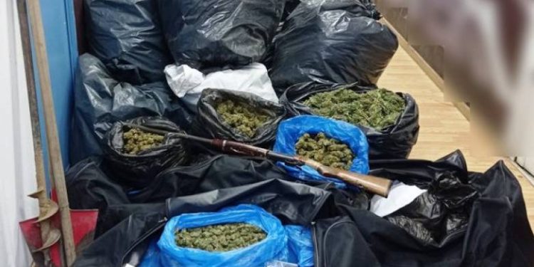 ΑΠΙΣΤΕΥΤΕΣ ΕΙΚΟΝΕΣ! “Πλημμύρισαν” από το χασίς της Ηλείας οι χώροι της ΓΑΔΑ – Επίσημες ανακοινώσεις από την ΕΛ.ΑΣ. (ΦΩΤΟ + BINTEO)