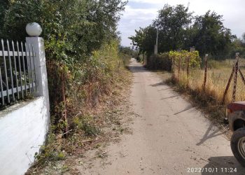 “Πείρος”: Καθαρισμός επικίνδυνου δρόμου στην παραλία Κάτω Αλισσού
