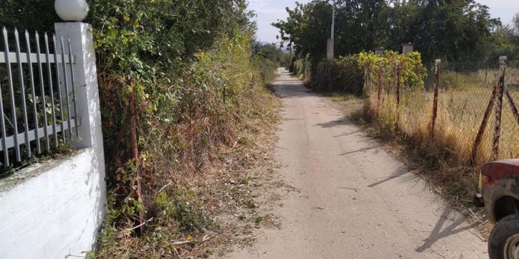 “Πείρος”: Καθαρισμός επικίνδυνου δρόμου στην παραλία Κάτω Αλισσού