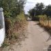 “Πείρος”: Καθαρισμός επικίνδυνου δρόμου στην παραλία Κάτω Αλισσού