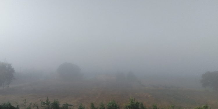 Δυτική Αχαΐα: Ξύπνησαν και … δεν έβλεπαν τίποτα! Ομίχλη σκέπασε τα πάντα… ΦΩΤΟΓΡΑΦΙΕΣ