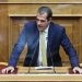 Πλεύρης για Κιβωτό του Κόσμου: Αν ισχύουν οι καταγγελίες, κόσμος θα μπει φυλακή