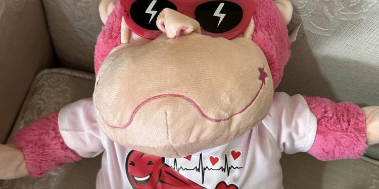 Μοναδικές Στιγμές και Όνειρα: Φατσούλες που τις … ερωτεύεσαι για την ημέρα του Αγίου Βαλεντίνου!