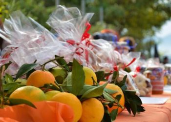 Την Κυριακή στον Άνω Αλισσό η 6η Γιορτή Πορτοκαλιού – Κάλεσμα από τον Πρόεδρο του Συλλόγου Δήμητρη Μπαρμπούνη