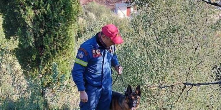 Κάτω Αχαΐα: Αγωνία τέλος για τις αναζητήσεις ηλικιωμένης – Μεγάλη επιχείρηση από Πυροσβεστική και ΕΛ.ΑΣ.