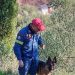 Κάτω Αχαΐα: Αγωνία τέλος για τις αναζητήσεις ηλικιωμένης – Μεγάλη επιχείρηση από Πυροσβεστική και ΕΛ.ΑΣ.