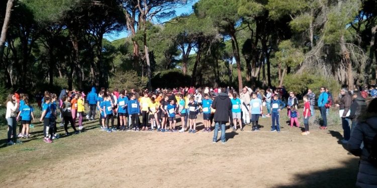 Περιφερειακοί Αγώνες Δρόμου σε Ανώμαλο Έδαφος στο Δάσος Στροφυλιάς
