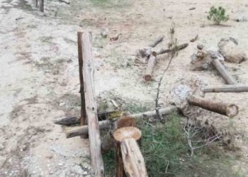 Βανδαλισμοί στο πάρκο της Στροφυλιάς – ΦΩΤΟ