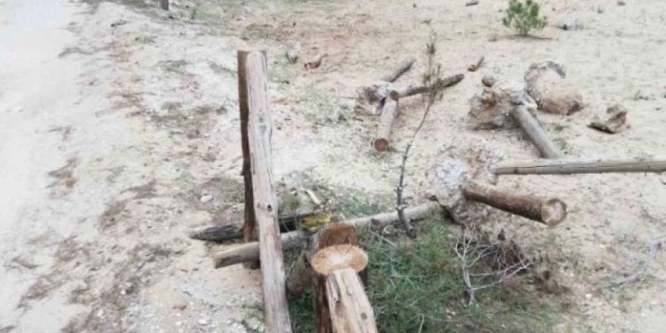 Βανδαλισμοί στο πάρκο της Στροφυλιάς – ΦΩΤΟ