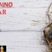 6η ΥΠΕ: Πασχαλινό Bazaar με τις δημιουργίες του ΚΟΙ.Σ.ΠΕ “Φάρος”