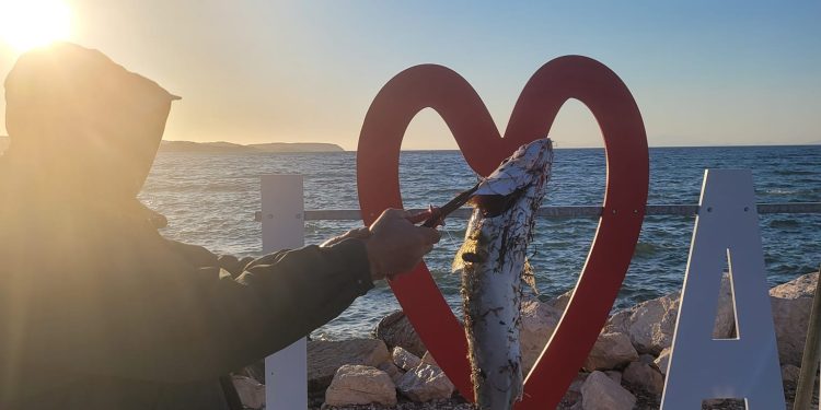 Η φωτογραφία της ημέρας