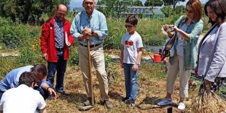 Φωκίων Ζαΐμης: Δενδροφύτευση για την ημέρα της μέλισσας