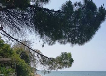 Ενοικίαση μεζονέτας μπροστά στη θάλασσα της παραλίας Αλισσού