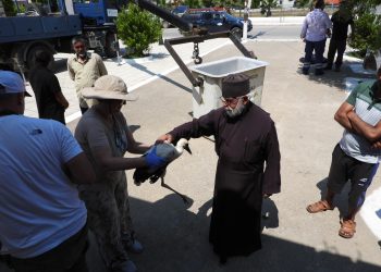 Στροφυλιά: Καμπαναριό εκκλησίας επέλεξε ζευγάρι λευκοπελαργών για τη φωλιά του! ΦΩΤΟ