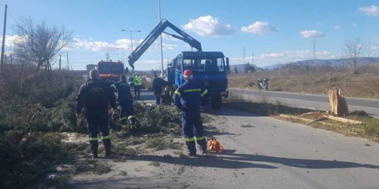 Πατρών – Πύργου: Δέντρο έπεσε στην Εθνική Οδό, στα φανάρια της ΒΙΠΕ