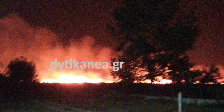 Φωτιά ξέσπασε στη Στροφυλιά – Μεγάλη η δύναμη της Πυροσβεστικής στο σημείο δίνει “μάχη” με τους δυνατούς ανέμους – ΦΩΤΟ – ΒΙΝΤΕΟ