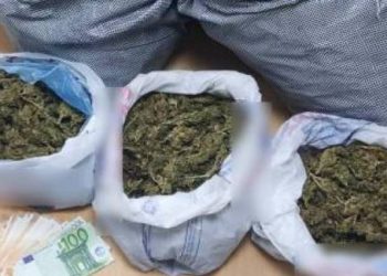Πάνω από 11 κιλά χασίς βρήκαν οι αστυνομικοί – Είχε προηγηθεί εντοπισμός φυτείας