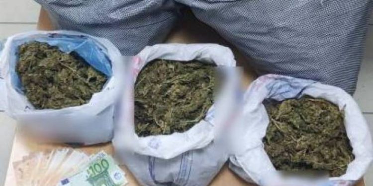 Πάνω από 11 κιλά χασίς βρήκαν οι αστυνομικοί – Είχε προηγηθεί εντοπισμός φυτείας