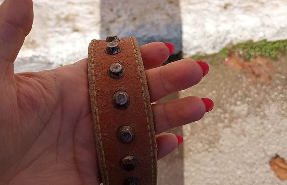 Ροδία Καραμπελιά: Το συγκινητικό “αντίο” στον Ερμή…