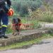 Μεσολόγγι: Με drone και συμμετοχή διασωστών και ανδρών της ΕΜΑΚ, ψάχνουν τον 31χρονο-Αναμένονται στοιχεία από την άρση απορρήτου του κινητού του υπόπτου ΦΩΤΟ