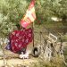 Ορεινή Κορινθία: Βρέθηκαν τα παιδιά της οικογένειας των Παλαιοχριστιανών – «Θα γίνει τεστ DNA»