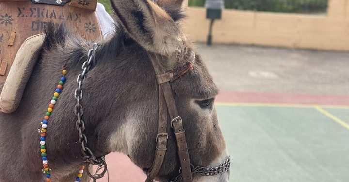 Ο “Γαϊδουρόγαμος” και οι … καλεσμένοι του πάνε στο Αχαγιώτικο Καρναβάλι!