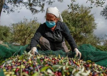 Σύλλογος Δημοκρατικών Γυναικών Πάτρας -8 Μάρτη: Δίπλα στις αγρότισσες και τις γυναίκες του μόχθου
