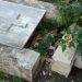 Νέος μακάβριος βανδαλισμός στο νεκροταφείο Απιδεώνα-Τράβηξαν την πλάκα και άφησαν σε κοινή θέα το νεκρό!