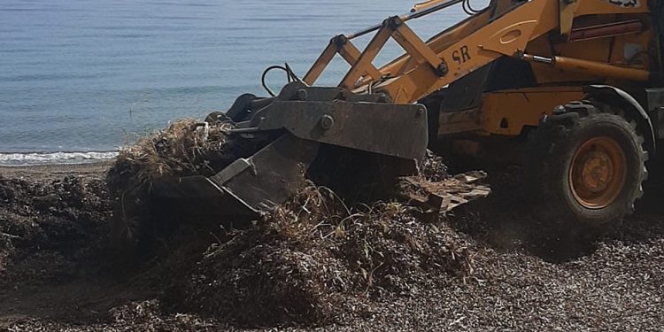 Συνεργεία του Δήμου καθάρισαν την παραλία του Αλισσού