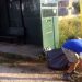 Κάτω Αλισσός: “Επιστρατεύονται” εθελοντές για τον καθαρισμό του χωριού – Τί έχει συμβεί